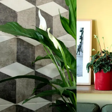 Casamarta2 * Кониль-де-ла-Фронтера