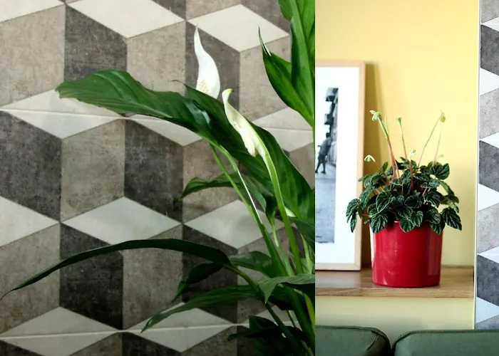 Casamarta2 * Коніль-де-ла-Фронтера