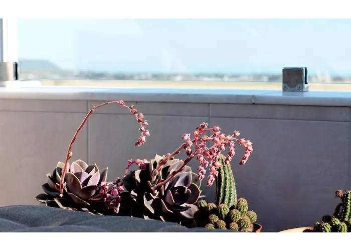 Casamarta2 Будинок відпочинку Коніль-де-ла-Фронтера