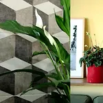 Casamarta2 * Conil De La Frontera