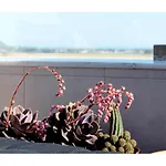 Casamarta2 Casa vacanze Conil De La Frontera